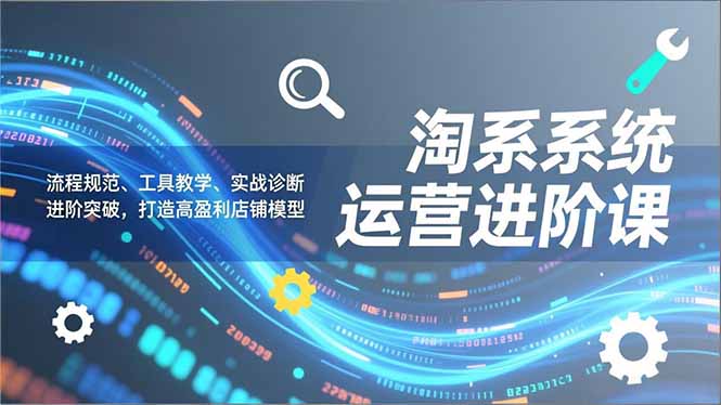 淘系系统运营进阶课2.0，流程规范、工具教学、实战诊断，进阶突破，打造高盈利店铺模型-创富资源云网创