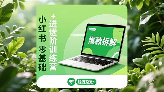 小红书零基础+高阶训练营：安全养号、爆款拆解、长效运营，实现稳定涨粉与变现-创富资源云网创