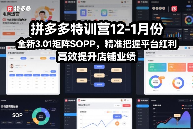 拼多多特训营12-1月份，全新3.01矩阵Sop，精准把握平台红利，高效提升店铺业绩-创富资源云网创