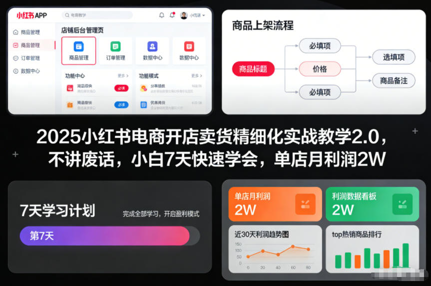 2025小红书电商开店卖货精细化实战教学2.0，不讲废话，小白7天快速学会，单店月利润2W-创富资源云网创