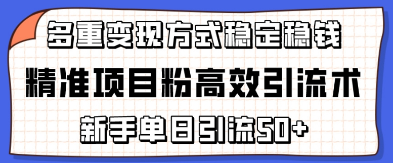 精准项目粉高效引流术，新手单日引流50+，多重变现方式稳定赚钱-创富资源云网创