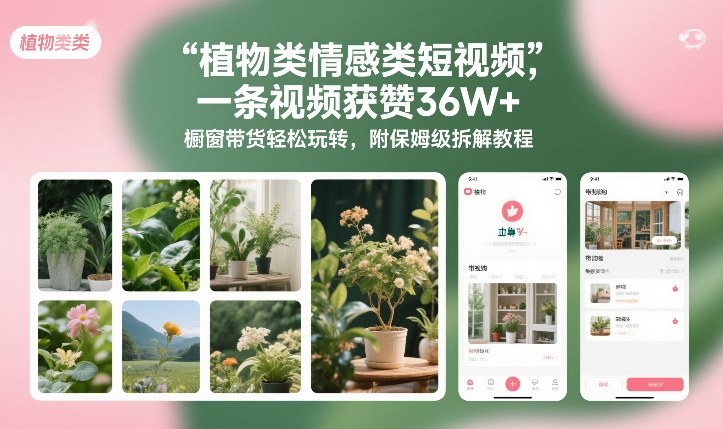 植物类情感类短视频，一条视频获赞36W+，橱窗带货轻松玩转，附保姆级拆解教程-创富资源云网创