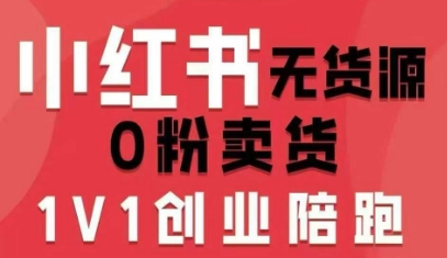小红书无货源0粉电商课，开店准备、选品策略、笔记撰写、视频剪辑、数据分析、账号打造、资料文档(更新)-创富资源云网创