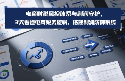 电商财税风控体系与利润守护，3天看懂电商税务逻辑，搭建利润防御系统-创富资源云网创