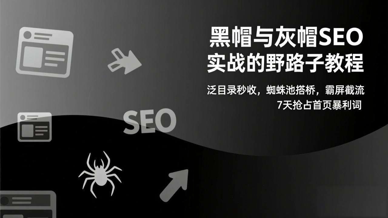 黑帽与灰帽SEO实战的野路子教程：泛目录秒收，蜘蛛池搭桥，霸屏截流，7天抢占首页暴利词-创富资源云网创