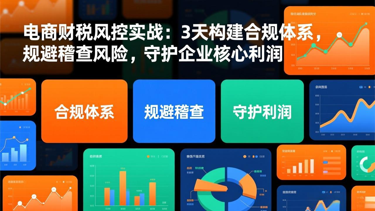 电商财税风控实战：3天构建合规体系，规避稽查风险，守护企业核心利润-创富资源云网创