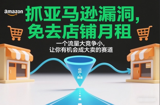 抓亚马逊漏洞，免去店铺月租，一个流量大竞争小，让你有机会成大卖的赛道-创富资源云网创